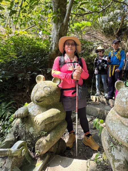 台北縱走第七段 訪獅球山 樟湖山 樟山 炮子林山3016871