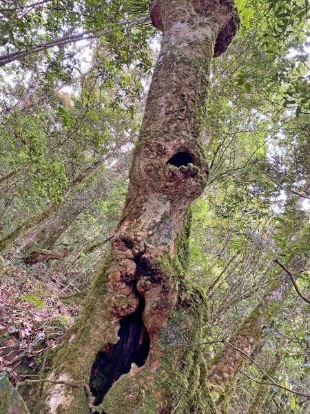 石山秀湖夢幻仙境悠遊行1013363