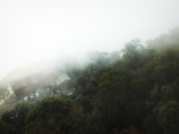 苗栗--薑麻園步道7466