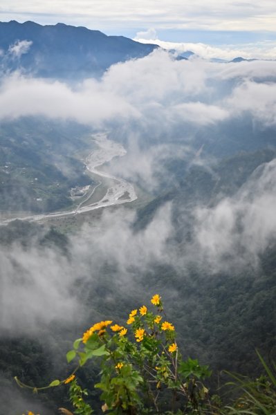 馬那邦山的雲海季2650887