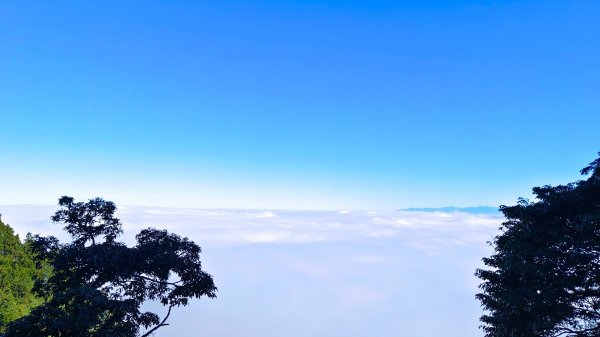 溪頭~金柑樹山/嶺頭山/忘憂森林O形走（沿路竟是耶穌光）1884169