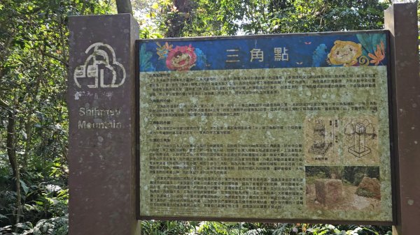 20251216太平山石門山小粗坑山O型+蕃薯藤TINA廚房2972583