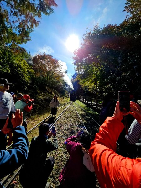 台灣難抵極與祝山觀日步道(小笠原山) - 2024嘉遊好步道．來嘉走走2670108