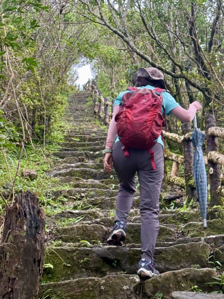 二格山 2025.07.202864216