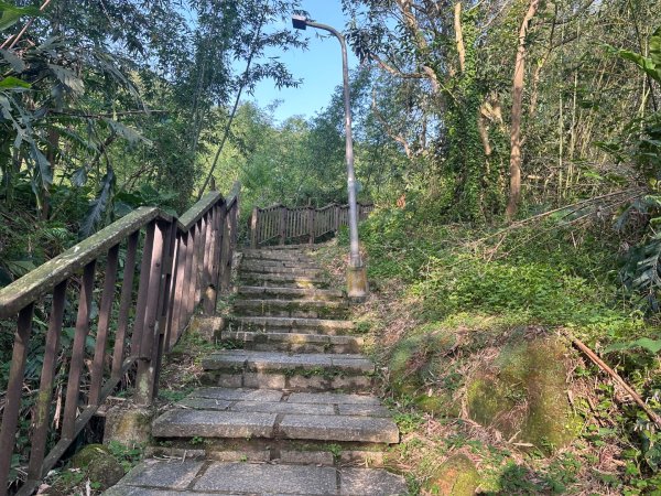 台北大縱走六七段2752088