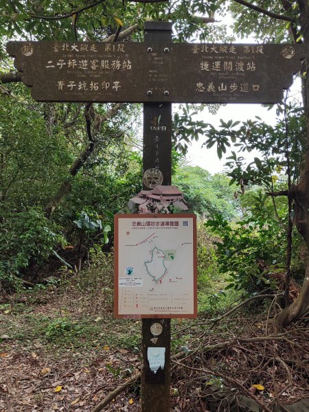 2026臺北大縱走第一段&第二段3011306