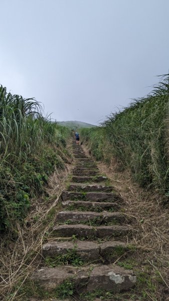 大屯山 二子坪停車場來回2192242