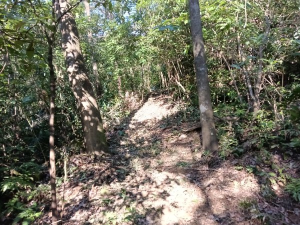 雙溪區大平林山+后番子坑古厝+后番子坑山+武山煤礦事務所+焦炭窯O型2988530