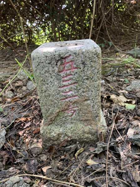 20251122高雄竹山口山2945300