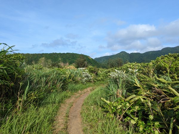 《蘭嶼》小天池、燈塔。鰭尾山。虎頭坡/饅頭山。拼板舟1736428