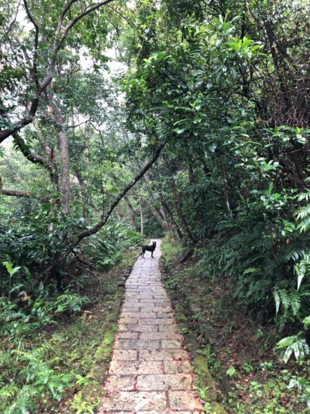 南港山縱走（中華科大登山口—象山）550416