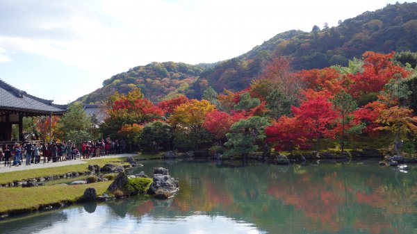 日本京都嵐山652024