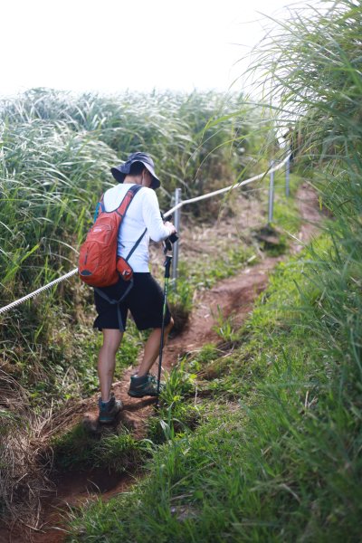 大屯山系十連峰2554038