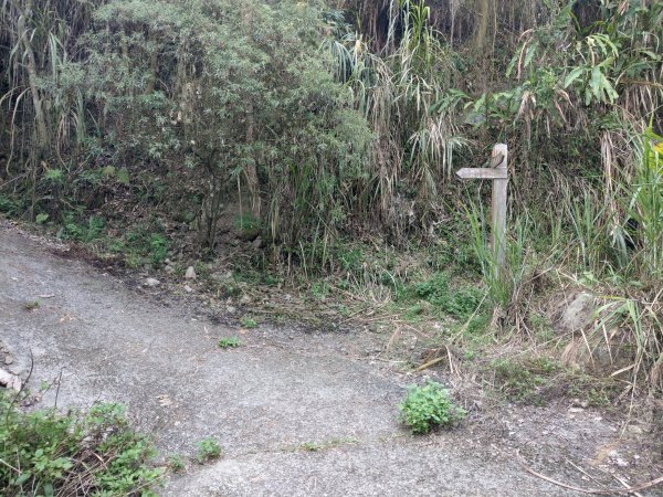 竹子尖山(小百岳#67)：梅龍步道、山稜線步道、觀音步道、階梯步道1377532