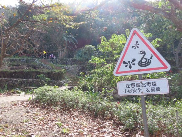 泰安登山步道‧隘勇古道‧巡圳道O形輕鬆走2007505