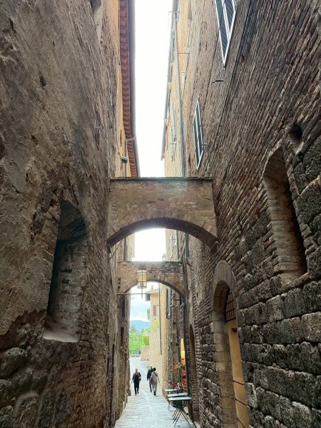 Via Francigena D1: San Gimignano-Colle di Val d’El3072652