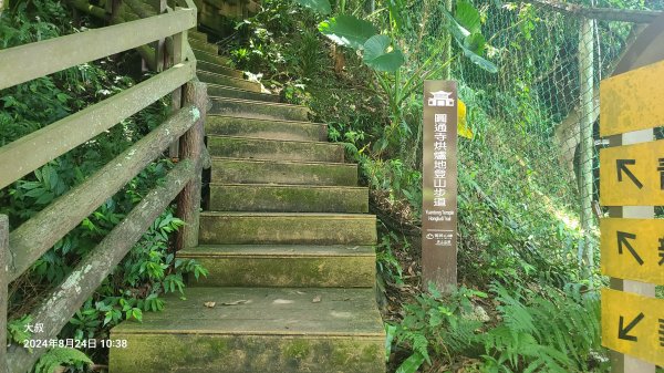 2024-0824 烘爐地登山步道(柴埕路60巷登山口來回)2579516