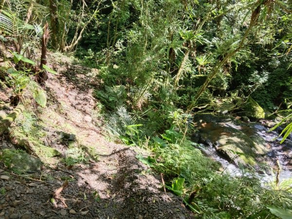 坪林區小粗坑古道+小粗坑山+環山路+楣子寮尖+貴妃池O型2994465