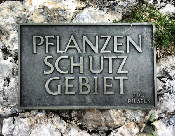 Mt. Pilatus, Lucerne153975
