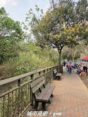 【彰化】員林藤山步道x田尾公路花園3016565