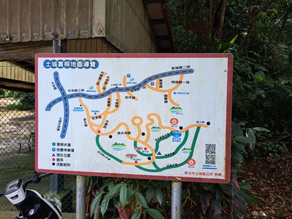 2026微笑山線望月亭桐花段3103856