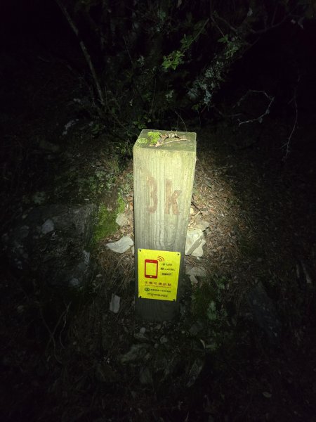 20250810 一日單攻桃山2919373