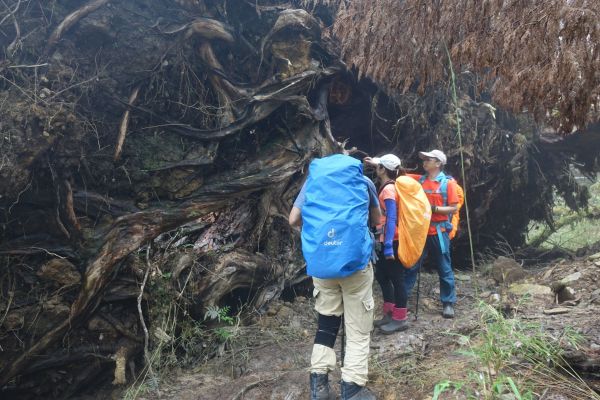 塔曼山，玫瑰西魔山 106.5.7(日)128761