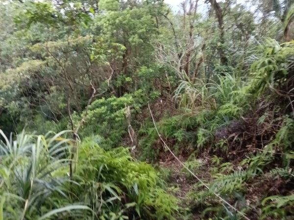 平溪區平溪子山遇雷雨O型2850152