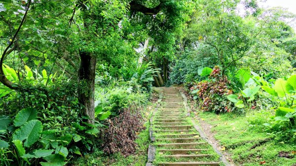 微笑山線405高地段2844151