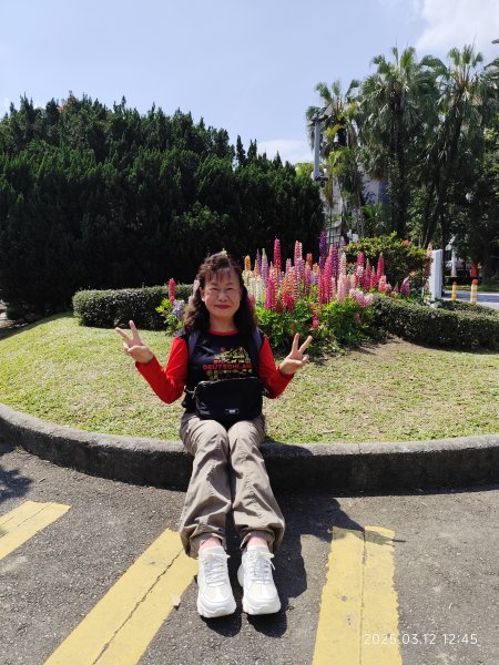 內湖運動中心→勞工保險局→南門市場→台灣電力公司→國立臺灣大學2734276