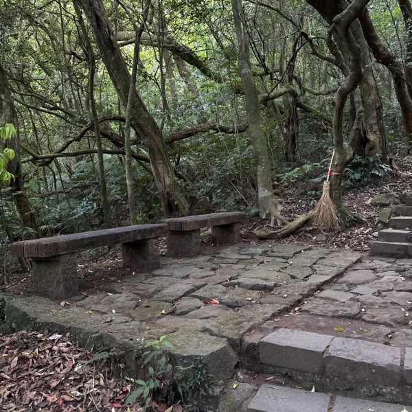 七星山苗圃路線2922629