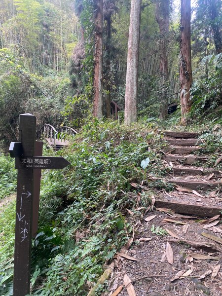 1120329奮瑞古道2643546