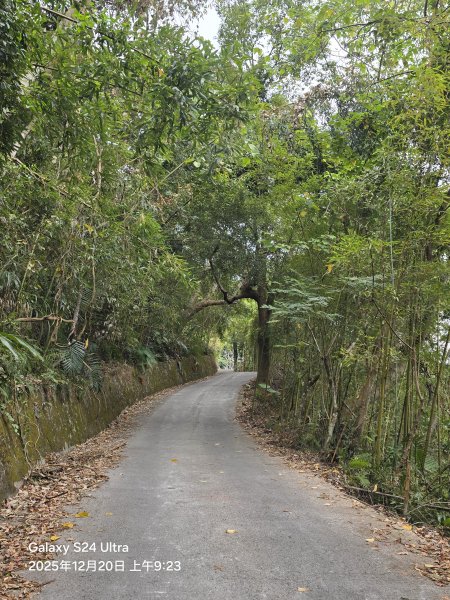 2025-12-20橫龍古道2967545