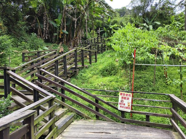 [百山百鳥尋旅-08/15] 2025_0831 大坑1號步道2876176