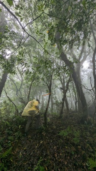 113.06.01魯壁山-東穗山之旅2529902