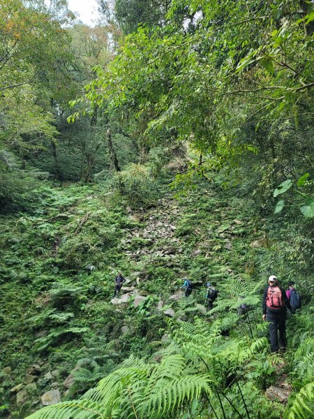 福巴越嶺國家步道2364483