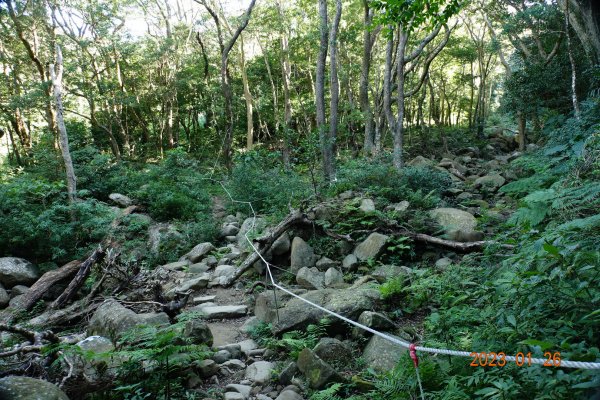 屏東 獅子鄉 里龍山(里隆山、里瀧山、鯉龍山)、下里龍山2018543