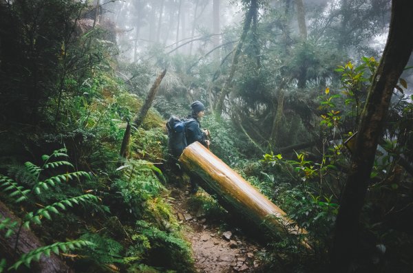 十七歲少女之湖｜松蘿湖包場露營1408702