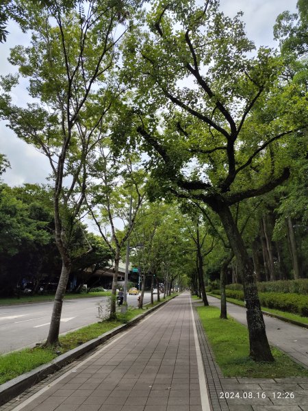 大安森林公園、永康公園、大港墘公園 - 內科嘉年華會 戲曲•特技之夜2577765