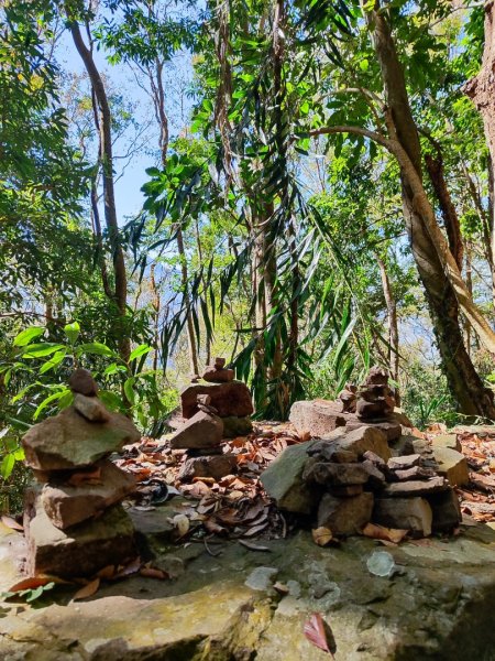 泰安鳥嘴山（上島）2689338