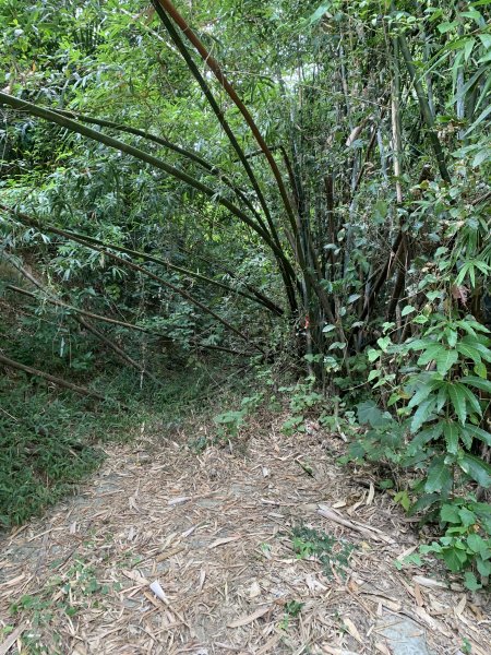 20251024台南邦埤山-三崁山2925689