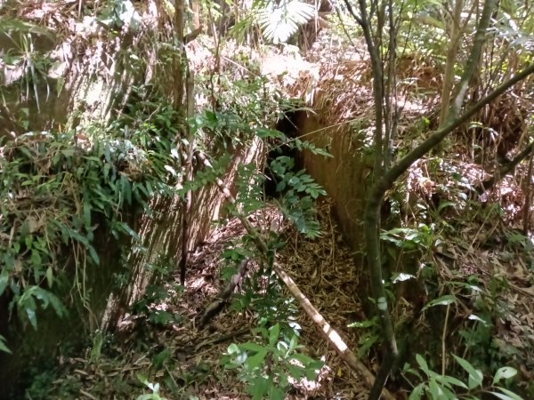 汐止區小溪瀑布+車坪寮土地公稜線2890148