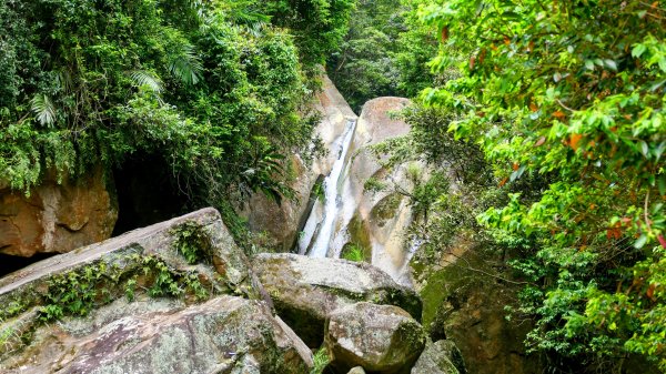 白石湖沒有百合花。晶片關稅2781576