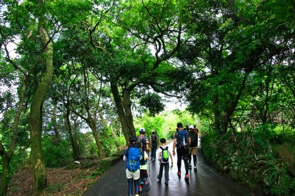 淡水天元宮步行到竹子湖，綠意盎然的古道路徑。一切都是為了吃飯。1347609