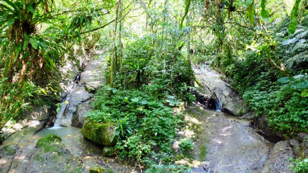 四分子古道,水柳腳步道2622691