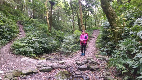 107.04.21 天德巷 → 拉卡山 → 三峽滿月圓 O型317860