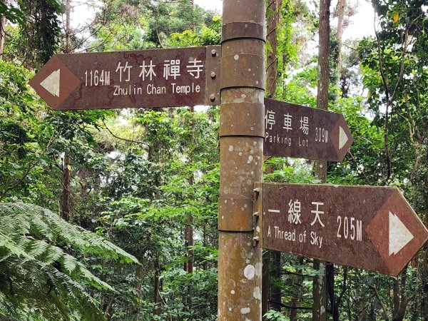 五指山橫向登山步道×猴洞步道一線天3060560