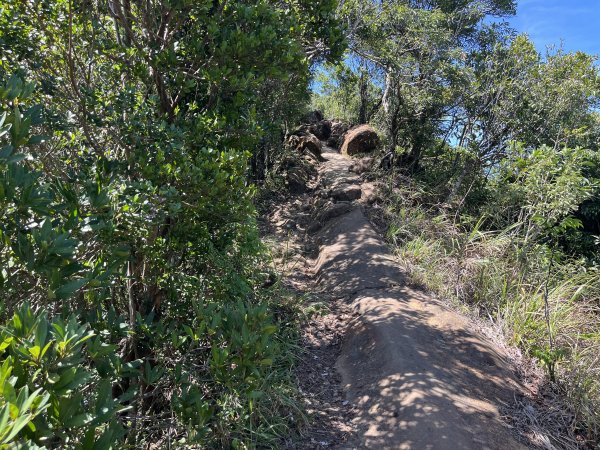 [微笑山線_第九段] 2025_0914 二格山系_天王峰2889624