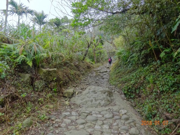 台南第一高山大凍山240758