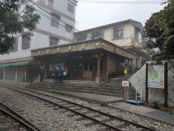 搭阿里山森鐵去登獨立山(小百岳#58)。走大巃頂賞茶園風光 (2020/11/8)1427677